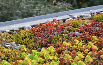 the cost of Gorhambury green roof installation