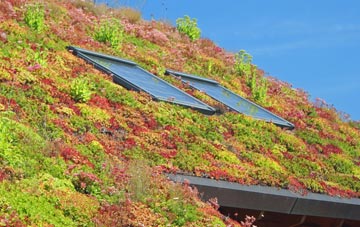 Gorhambury living roof systems